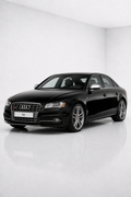 Audi-S4 (2009-2016)
